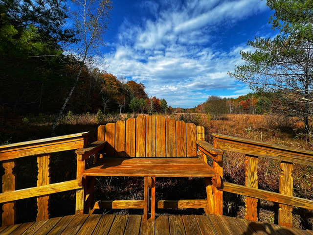 Contemplation bench overlooking autumn landscape at Ananda Viplava